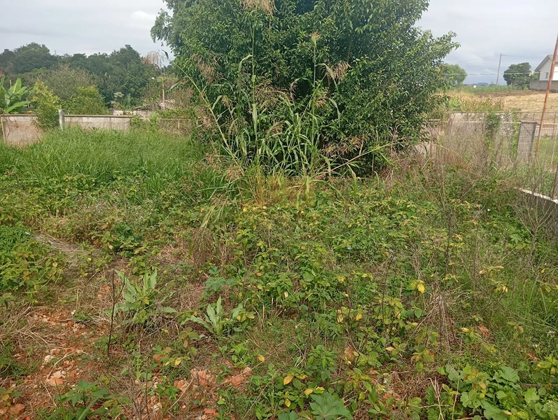 TERRENO COM 300m² ÓTIMA LOCALIZAÇÃO: 2ª foto da galeria de imagens do imóvel