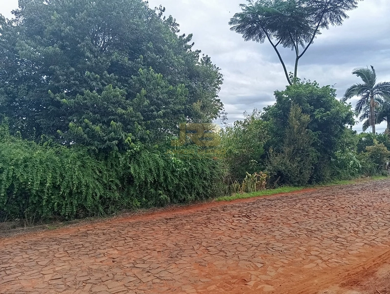 TERRENO DE 510m² COM CASA DE 75m²: 4ª foto da galeria de imagens do imóvel