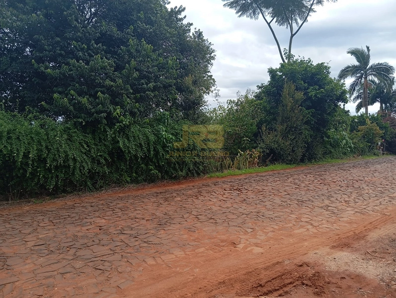 TERRENO DE 510m² COM CASA DE 75m²: 3ª foto da galeria de imagens do imóvel