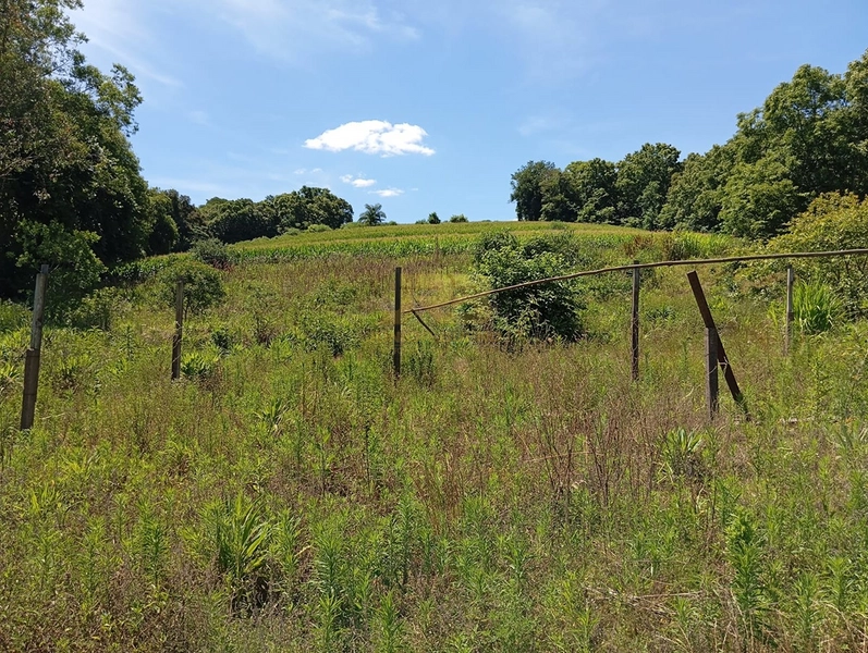 CHÁCARA À VENDA L PONTE FORTALEZA: 4ª foto da galeria de imagens do imóvel