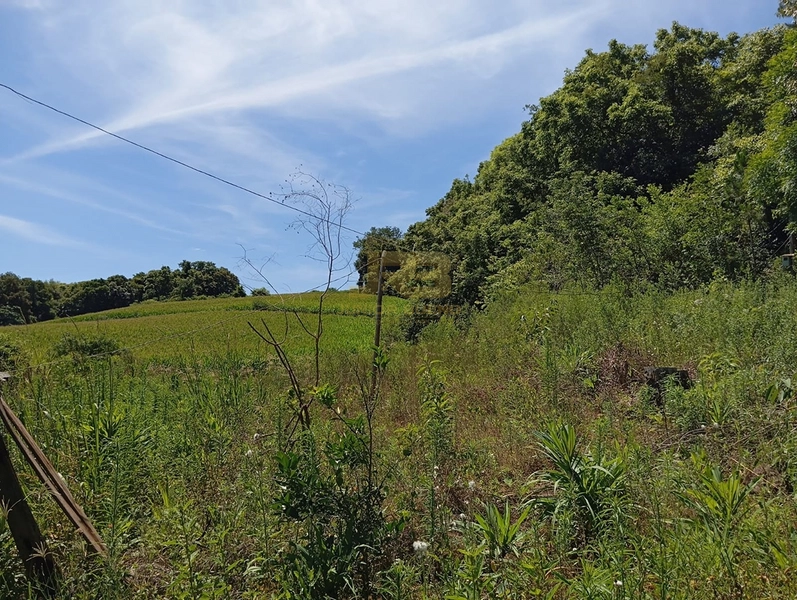 CHÁCARA À VENDA L PONTE FORTALEZA: 3ª foto da galeria de imagens do imóvel