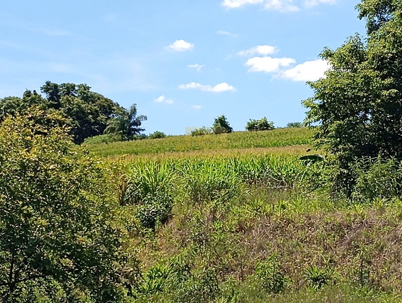 CHÁCARA À VENDA L PONTE FORTALEZA: 5ª foto da galeria de imagens do imóvel