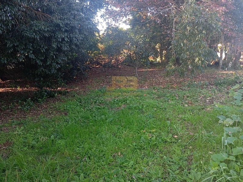 EXCELENTE TERRENO COM 1000m²: 8ª foto da galeria de imagens do imóvel