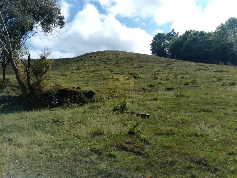 ÁREA DE TERRA À VENDA NA LINHA NORO: 4ª foto da galeria de imagens do imóvel