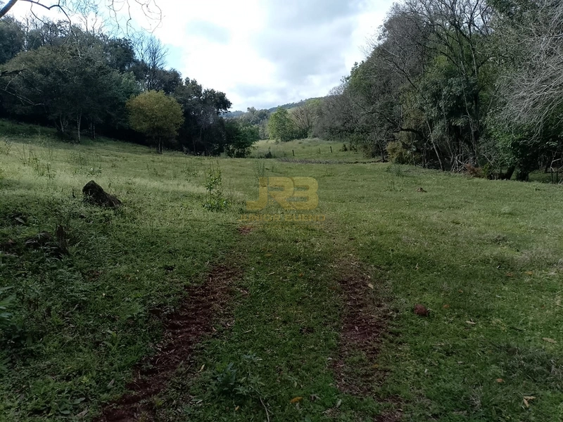 ÁREA DE TERRA À VENDA NA LINHA NORO: 3ª foto da galeria de imagens do imóvel