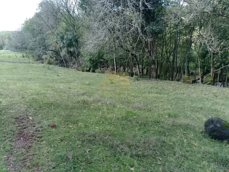 ÁREA DE TERRA À VENDA NA LINHA NORO: 6ª foto da galeria de imagens do imóvel