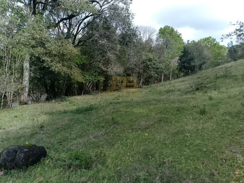 ÁREA DE TERRA À VENDA NA LINHA NORO: 5ª foto da galeria de imagens do imóvel