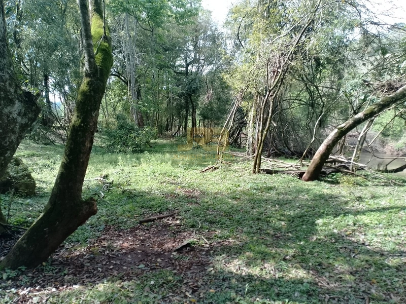 ÁREA DE TERRA À VENDA NA LINHA NORO: 11ª foto da galeria de imagens do imóvel