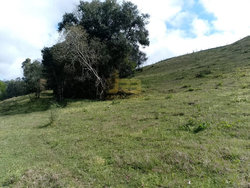 ÁREA DE TERRA À VENDA NA LINHA NORO: 9ª foto da galeria de imagens do imóvel