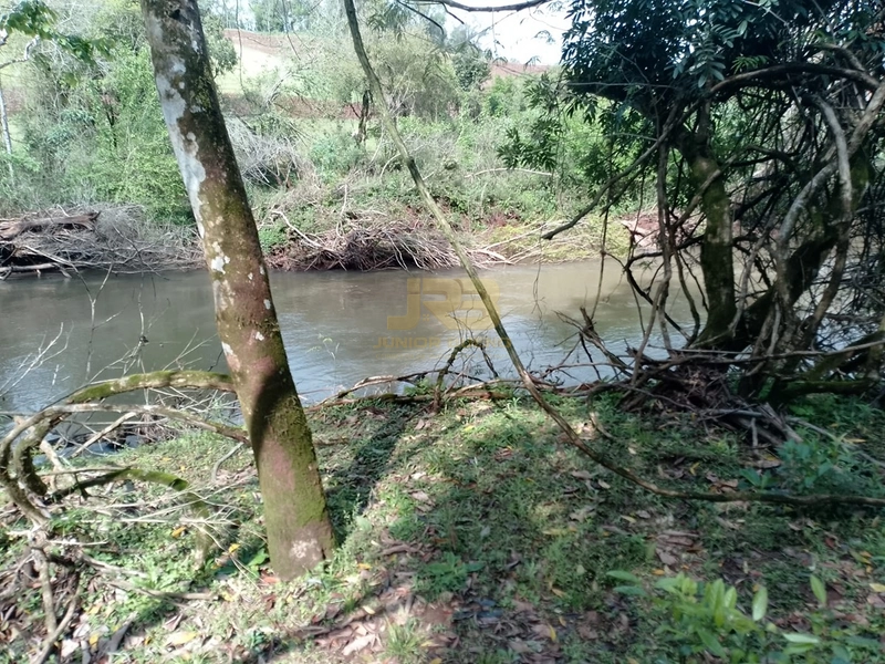 ÁREA DE TERRA À VENDA NA LINHA NORO: 10ª foto da galeria de imagens do imóvel