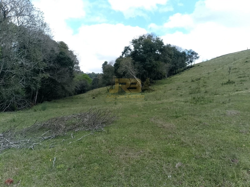 ÁREA DE TERRA À VENDA NA LINHA NORO: 12ª foto da galeria de imagens do imóvel