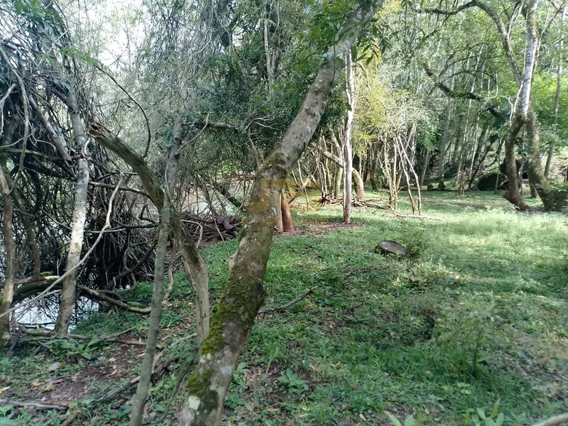 ÁREA DE TERRA À VENDA NA LINHA NORO: 14ª foto da galeria de imagens do imóvel