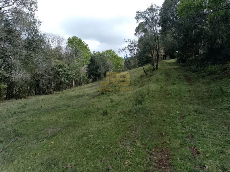 ÁREA DE TERRA À VENDA NA LINHA NORO: 2ª foto da galeria de imagens do imóvel