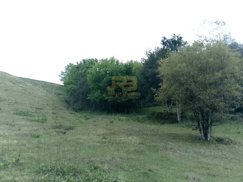 ÁREA DE TERRA À VENDA NA LINHA NORO: 13ª foto da galeria de imagens do imóvel