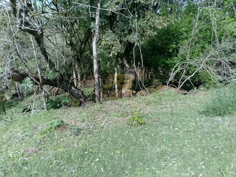 ÁREA DE TERRA À VENDA NA LINHA NORO: 7ª foto da galeria de imagens do imóvel