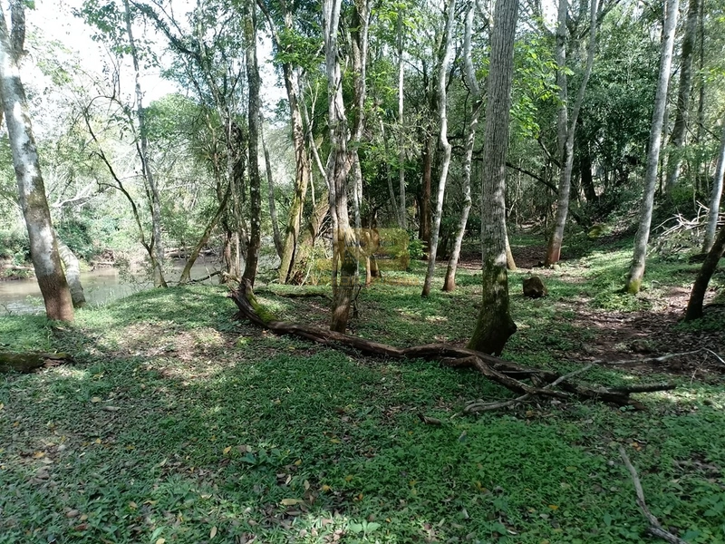 ÁREA DE TERRA À VENDA NA LINHA NORO: 8ª foto da galeria de imagens do imóvel