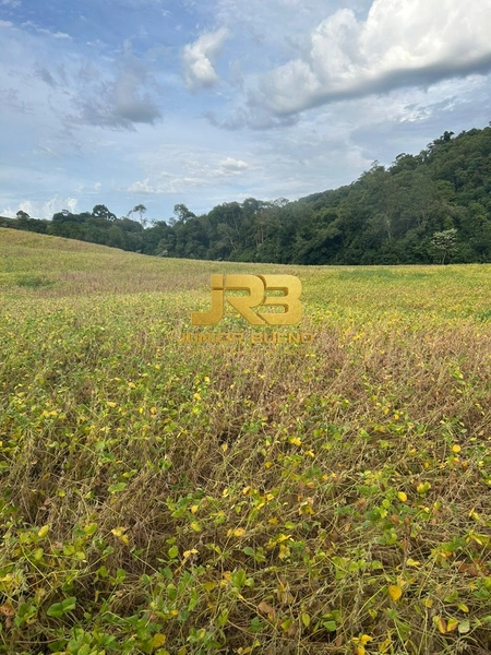 21,8 ha DE TERRAS EM JABOTICABA VALOR 100,000 O ha: 2ª foto da galeria de imagens do imóvel