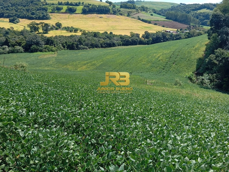 21,8 ha DE TERRAS EM JABOTICABA VALOR 100,000 O ha: 22ª foto da galeria de imagens do imóvel