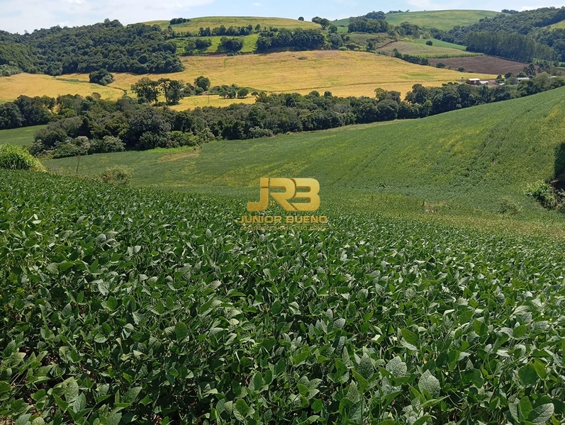 21,8 ha DE TERRAS EM JABOTICABA VALOR 100,000 O ha: 17ª foto da galeria de imagens do imóvel
