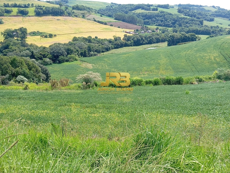 21,8 ha DE TERRAS EM JABOTICABA VALOR 100,000 O ha: 9ª foto da galeria de imagens do imóvel