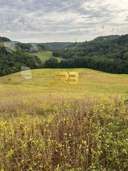 21,8 ha DE TERRAS EM JABOTICABA VALOR 100,000 O ha: 3ª foto da galeria de imagens do imóvel