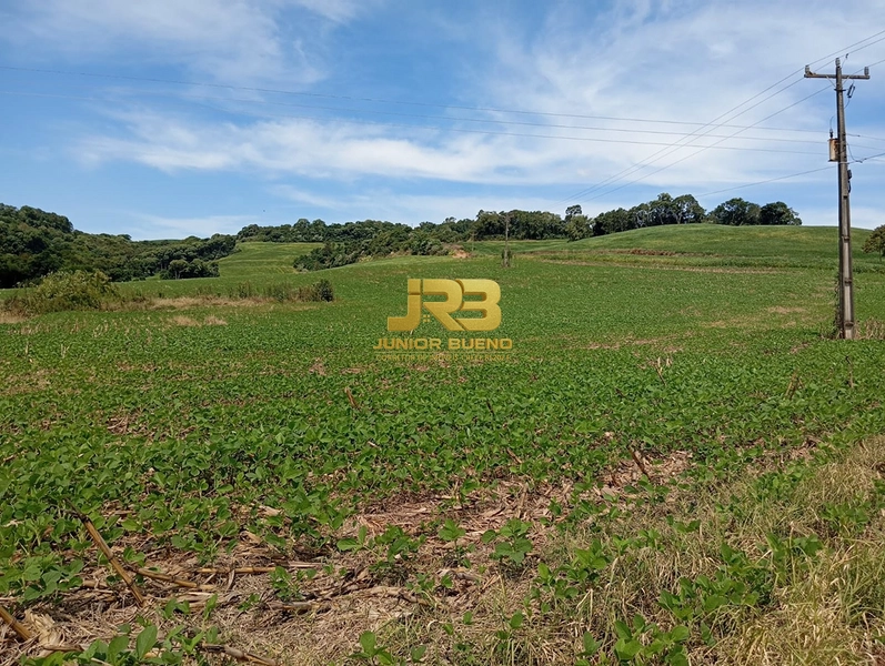 21,8 ha DE TERRAS EM JABOTICABA VALOR 100,000 O ha: 11ª foto da galeria de imagens do imóvel