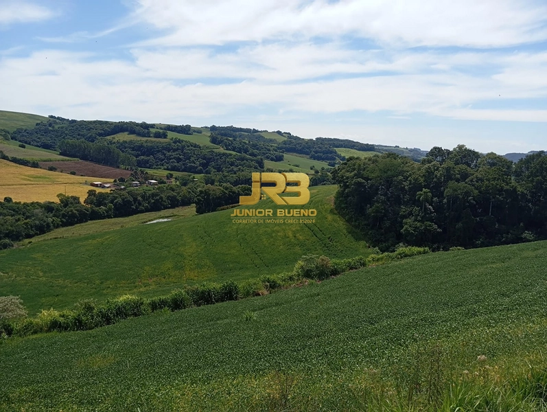 21,8 ha DE TERRAS EM JABOTICABA VALOR 100,000 O ha: 4ª foto da galeria de imagens do imóvel