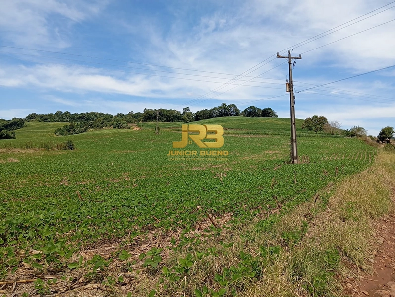 21,8 ha DE TERRAS EM JABOTICABA VALOR 100,000 O ha: 12ª foto da galeria de imagens do imóvel