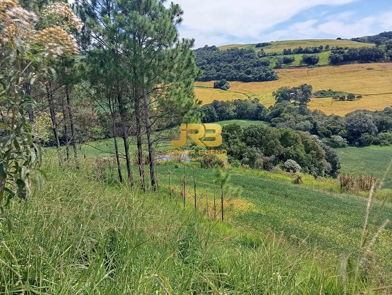 21,8 ha DE TERRAS EM JABOTICABA VALOR 100,000 O ha: 15ª foto da galeria de imagens do imóvel