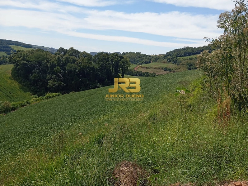 21,8 ha DE TERRAS EM JABOTICABA VALOR 100,000 O ha: 8ª foto da galeria de imagens do imóvel