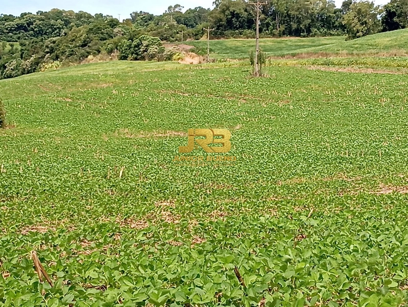 21,8 ha DE TERRAS EM JABOTICABA VALOR 100,000 O ha: 16ª foto da galeria de imagens do imóvel
