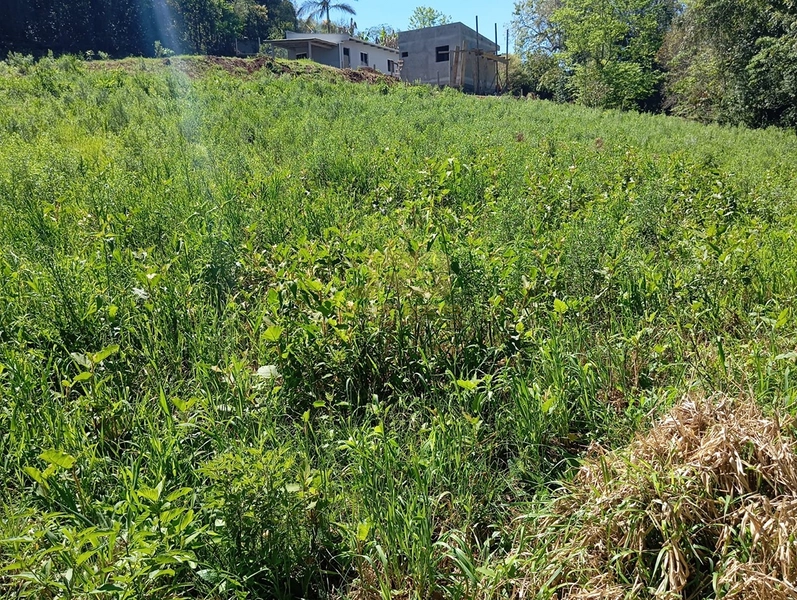 TERRENO PRÓXMO A ESCOLA ADA M. H: 3ª foto da galeria de imagens do imóvel