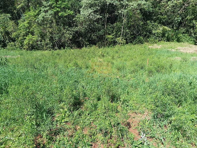 TERRENO PRÓXMO A ESCOLA ADA M. H: 7ª foto da galeria de imagens do imóvel