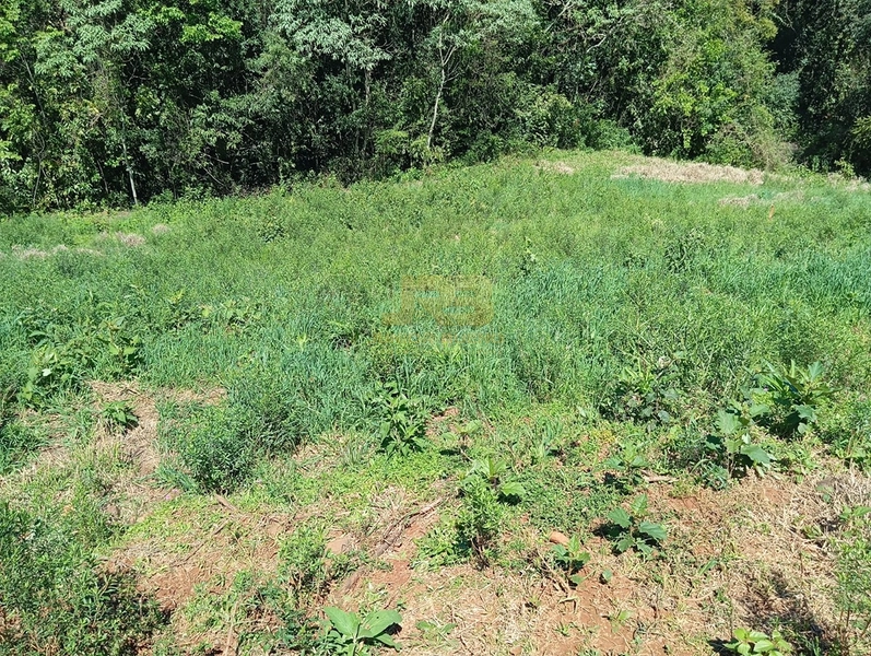 TERRENO PRÓXMO A ESCOLA ADA M. H: 2ª foto da galeria de imagens do imóvel