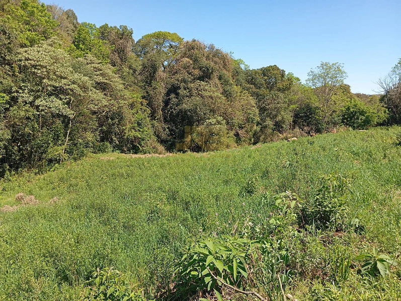 TERRENO PRÓXMO A ESCOLA ADA M. H: 4ª foto da galeria de imagens do imóvel