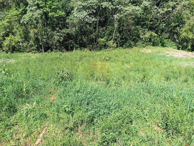 TERRENO PRÓXMO A ESCOLA ADA M. H: 6ª foto da galeria de imagens do imóvel