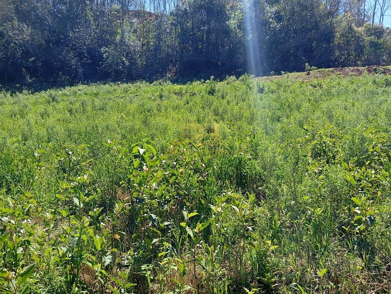 TERRENO PRÓXMO A ESCOLA ADA M. H: 5ª foto da galeria de imagens do imóvel