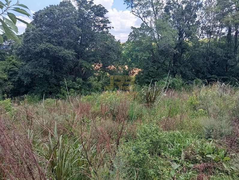 TERRENO 2200M² NA LINHA NOVA: 2ª foto da galeria de imagens do imóvel