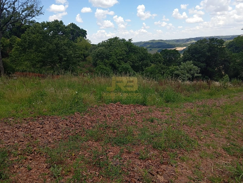 TERRENO 2200M² NA LINHA NOVA: 7ª foto da galeria de imagens do imóvel