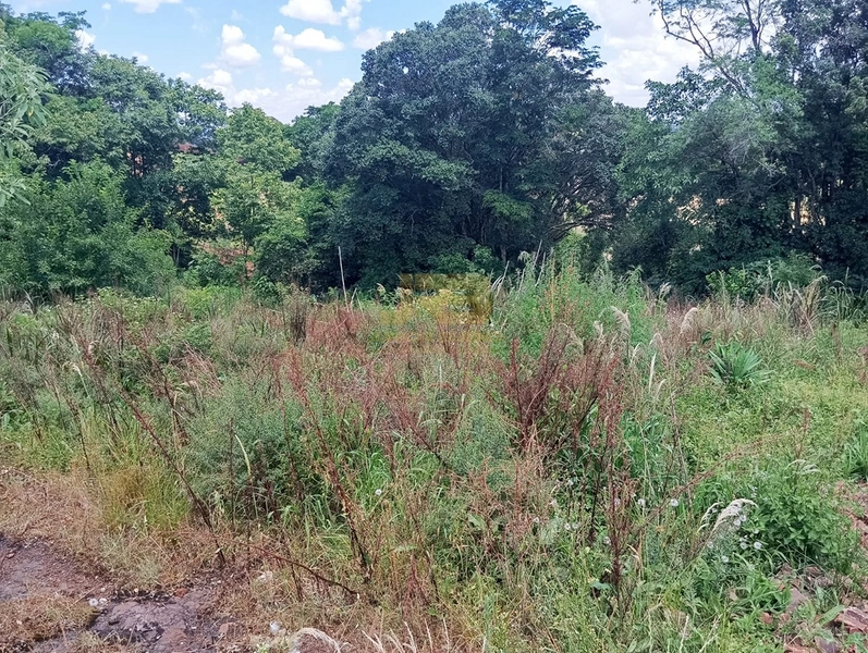 TERRENO 2200M² NA LINHA NOVA: 6ª foto da galeria de imagens do imóvel