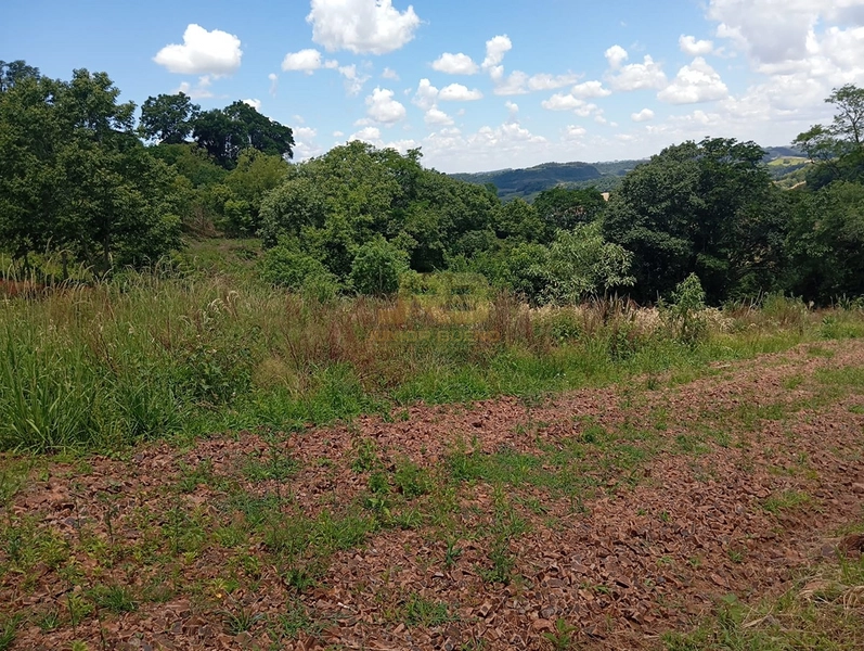 TERRENO 2200M² NA LINHA NOVA: 5ª foto da galeria de imagens do imóvel