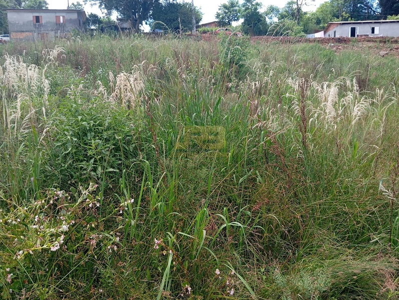 TERRENO 2200M² NA LINHA NOVA: 3ª foto da galeria de imagens do imóvel
