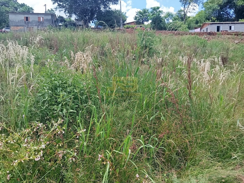 TERRENO 2200M² NA LINHA NOVA: 4ª foto da galeria de imagens do imóvel