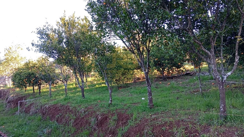 TERRENO À VENDA - LINHA CAB. DO MICO: 4ª foto da galeria de imagens do imóvel