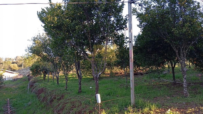 TERRENO À VENDA - LINHA CAB. DO MICO: 3ª foto da galeria de imagens do imóvel