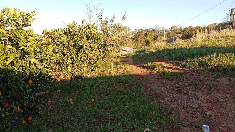 TERRENO À VENDA - LINHA CAB. DO MICO: 2ª foto da galeria de imagens do imóvel