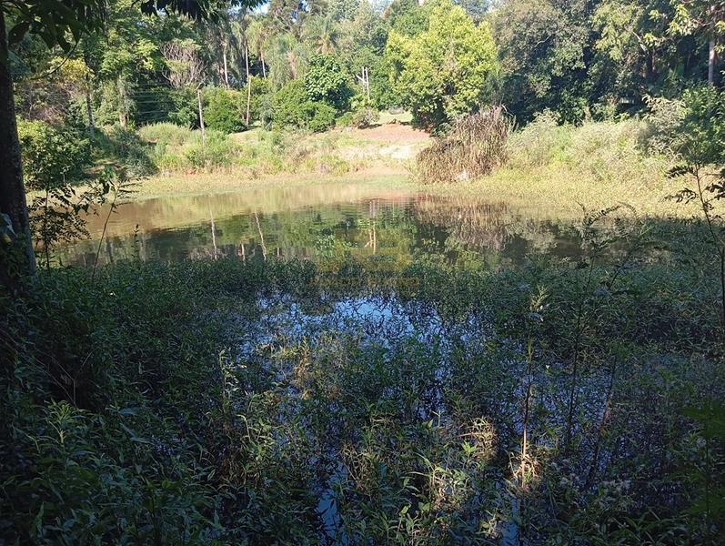 LINDA CHÁCARA DE 1ha: 8ª foto da galeria de imagens do imóvel