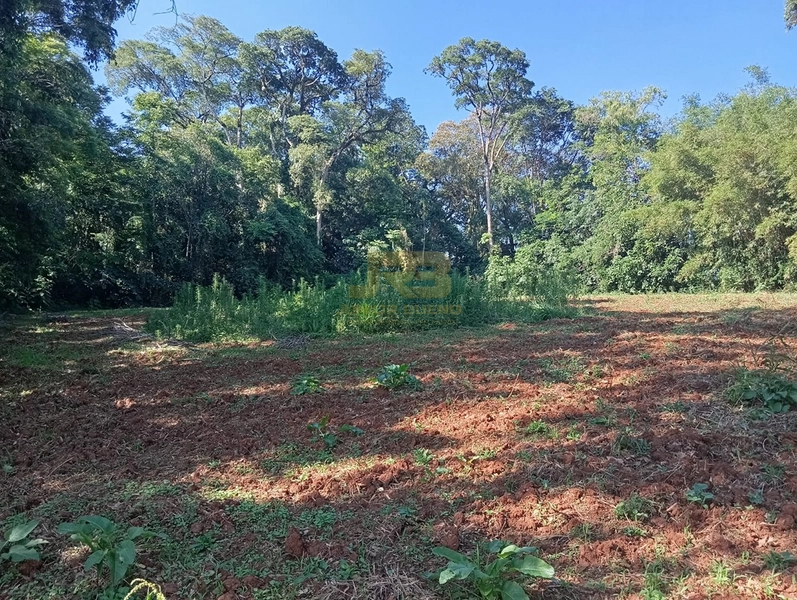 LINDA CHÁCARA DE 1ha: 13ª foto da galeria de imagens do imóvel