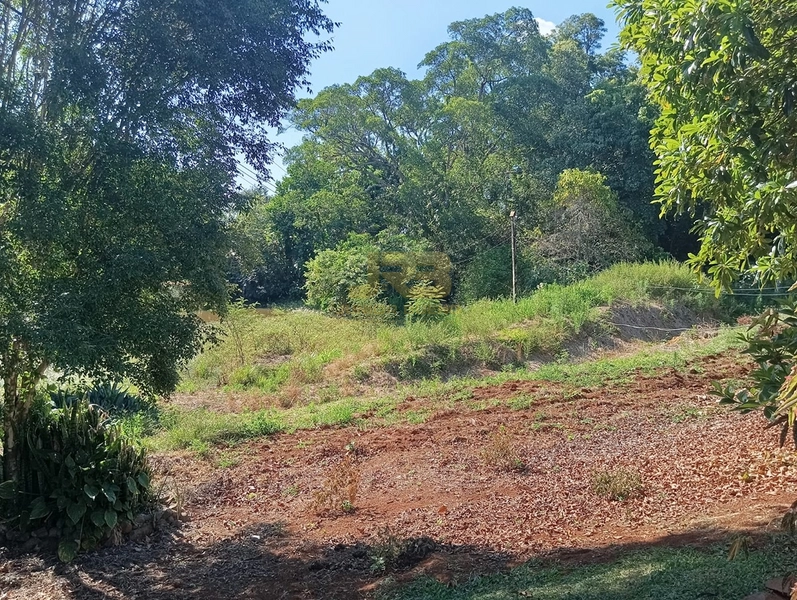 LINDA CHÁCARA DE 1ha: 3ª foto da galeria de imagens do imóvel