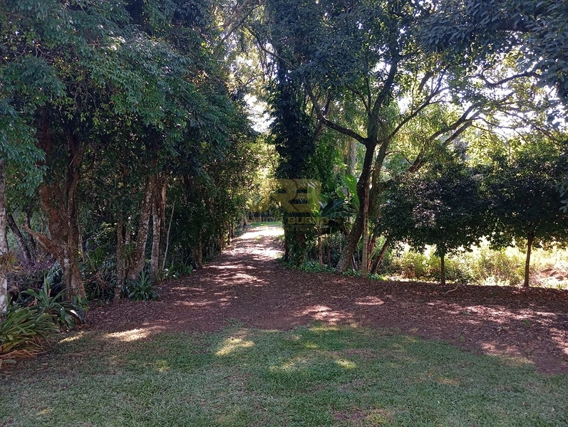 LINDA CHÁCARA DE 1ha: 11ª foto da galeria de imagens do imóvel